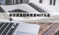 非你莫属超级黑客叫什么名字（黑客上非你莫属）