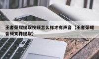 王者荣耀提取视频怎么样才有声音（王者荣耀音频文件提取）