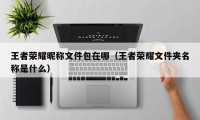 王者荣耀昵称文件包在哪（王者荣耀文件夹名称是什么）