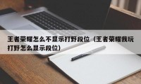 王者荣耀怎么不显示打野段位（王者荣耀我玩打野怎么显示段位）