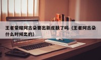 王者荣耀阿古朵要出新皮肤了吗（王者阿古朵什么时候出的）