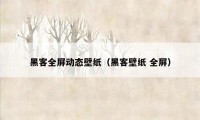 黑客全屏动态壁纸（黑客壁纸 全屏）