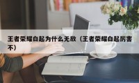 王者荣耀白起为什么无敌（王者荣耀白起厉害不）