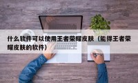 什么软件可以使用王者荣耀皮肤（能得王者荣耀皮肤的软件）