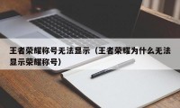 王者荣耀称号无法显示（王者荣耀为什么无法显示荣耀称号）