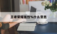 王者荣耀属性%什么意思（王者英雄属性是什么意思）