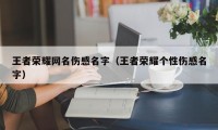 王者荣耀网名伤感名字（王者荣耀个性伤感名字）