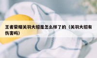 王者荣耀关羽大招是怎么样了的（关羽大招有伤害吗）