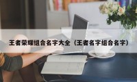 王者荣耀组合名字大全（王者名字组合名字）