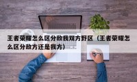 王者荣耀怎么区分敌我双方野区（王者荣耀怎么区分敌方还是我方）