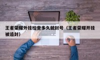 王者荣耀外挂检查多久就封号（王者荣耀开挂被追封）