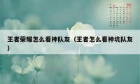 王者荣耀怎么看神队友（王者怎么看神坑队友）