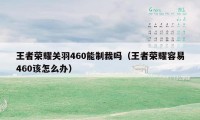 王者荣耀关羽460能制裁吗（王者荣耀容易460该怎么办）