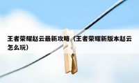 王者荣耀赵云最新攻略（王者荣耀新版本赵云怎么玩）