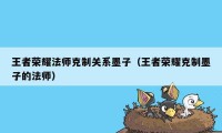 王者荣耀法师克制关系墨子（王者荣耀克制墨子的法师）