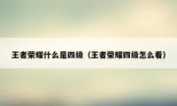 王者荣耀什么是四级（王者荣耀四级怎么看）