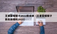 王者荣耀猴子2022新皮肤（王者荣耀猴子新皮肤爆料2021）