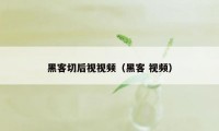 黑客切后视视频（黑客 视频）