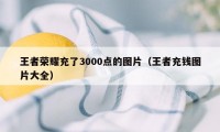 王者荣耀充了3000点的图片（王者充钱图片大全）