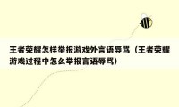 王者荣耀怎样举报游戏外言语辱骂（王者荣耀游戏过程中怎么举报言语辱骂）