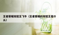 王者荣耀双冠王飞牛（王者荣耀的双冠王是什么）