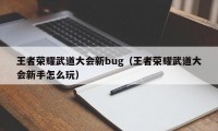 王者荣耀武道大会新bug（王者荣耀武道大会新手怎么玩）