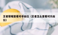 王者荣耀查看对手段位（王者怎么查看对方段位）