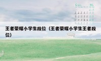 王者荣耀小学生段位（王者荣耀小学生王者段位）