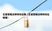 王者荣耀法师特效在哪（王者荣耀法师特效在哪看）