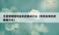 王者荣耀程咬金的武器叫什么（程咬金用的武器是什么）