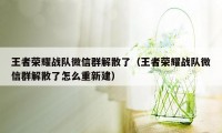 王者荣耀战队微信群解散了（王者荣耀战队微信群解散了怎么重新建）