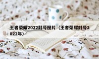 王者荣耀2022封号图片（王者荣耀封号2022年）