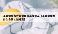 王者荣耀发什么会被禁止加好友（王者荣耀为什么会禁止加好友）