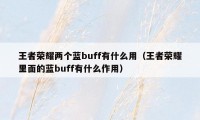 王者荣耀两个蓝buff有什么用（王者荣耀里面的蓝buff有什么作用）