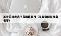 王者荣耀老夫子高渐离辉月（王者荣耀高渐离老婆）