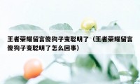 王者荣耀留言傻狗子变聪明了（王者荣耀留言傻狗子变聪明了怎么回事）