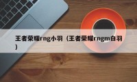 王者荣耀rng小羽（王者荣耀rngm白羽）