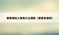 黑客带给人类有什么威胁（黑客有用吗）