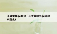 王者荣耀q230区（王者荣耀手q288区叫什么）