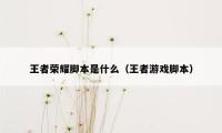 王者荣耀脚本是什么（王者游戏脚本）