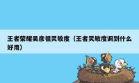 王者荣耀吴彦祖灵敏度（王者灵敏度调到什么好用）