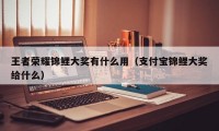 王者荣耀锦鲤大奖有什么用（支付宝锦鲤大奖给什么）