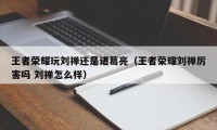 王者荣耀玩刘禅还是诸葛亮（王者荣耀刘禅厉害吗 刘禅怎么样）