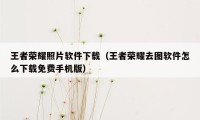 王者荣耀照片软件下载（王者荣耀去图软件怎么下载免费手机版）