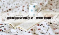 黑客攻防技术宝典图灵（黑客攻防图片）