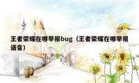 王者荣耀在哪举报bug（王者荣耀在哪举报语音）