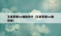 王者荣耀ios辅助软件（王者荣耀ios辅助器）