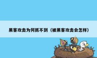 黑客攻击为何抓不到（被黑客攻击会怎样）