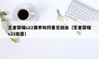 王者荣耀s22赛季如何看见回血（王者荣耀s22血量）