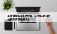 王者荣耀s19赛季什么（王者s1到s19的赛季皮肤是什么）